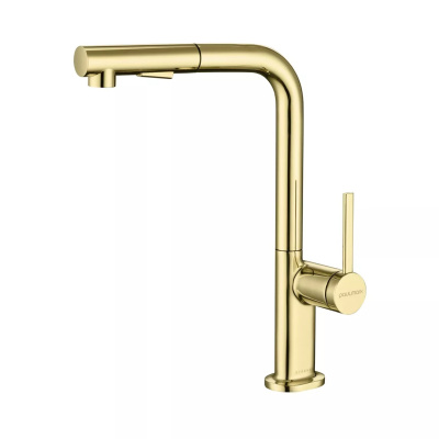 Смеситель Paulmark Ne214419-G