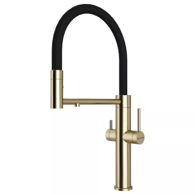 Смеситель Paulmark Ne213999-LG