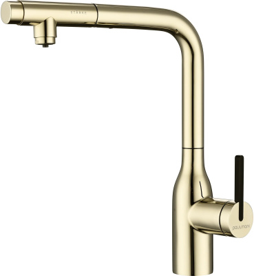 Смеситель Paulmark Vi213105-G